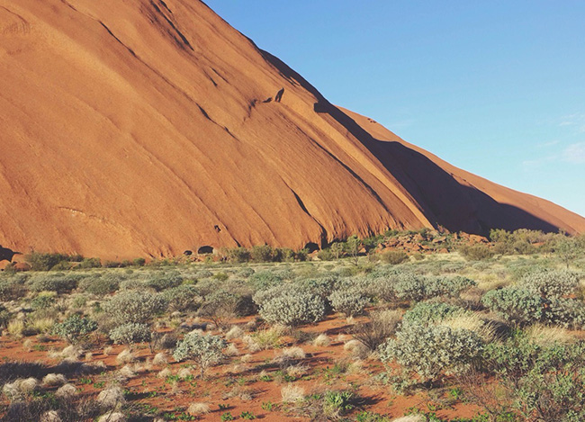 ddos压力测试网页端